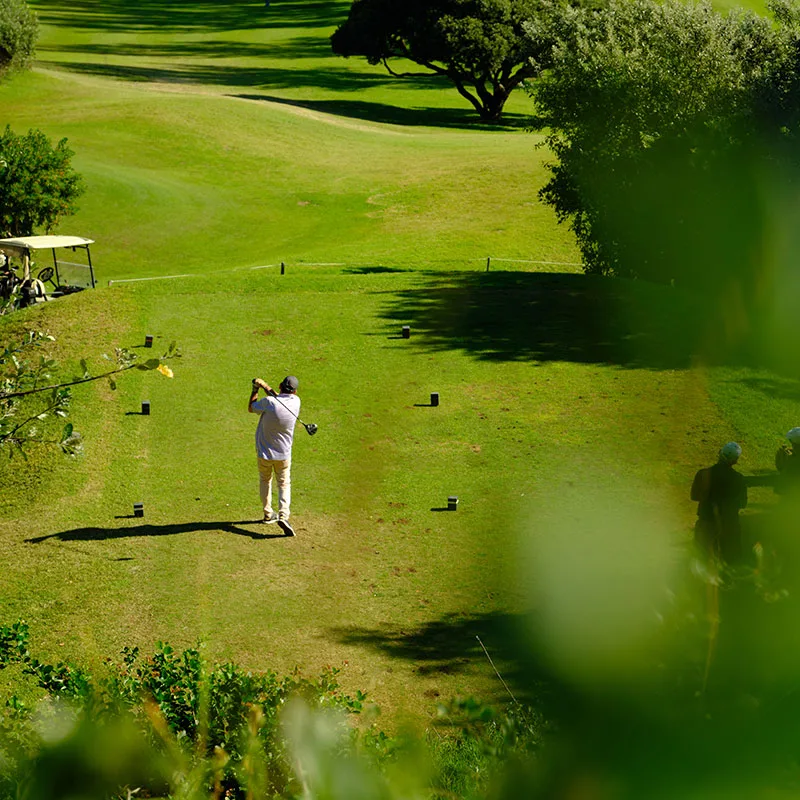 15-tee